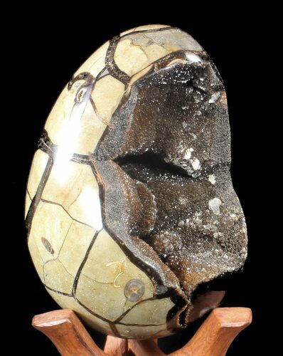 Septarian Dragon Egg Geode - Black Crystals #37123